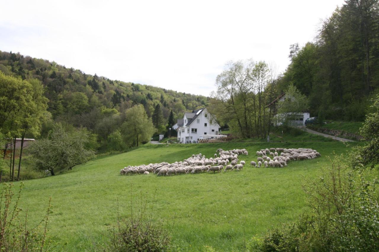 B&B Arlesbrunnen Egloffstein Zewnętrze zdjęcie