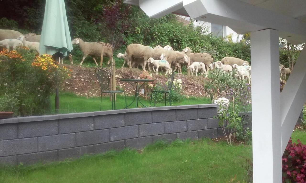 B&B Arlesbrunnen Egloffstein Zewnętrze zdjęcie