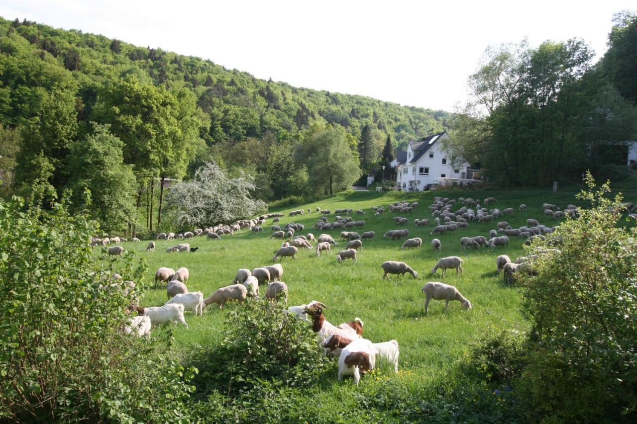 B&B Arlesbrunnen Egloffstein Zewnętrze zdjęcie