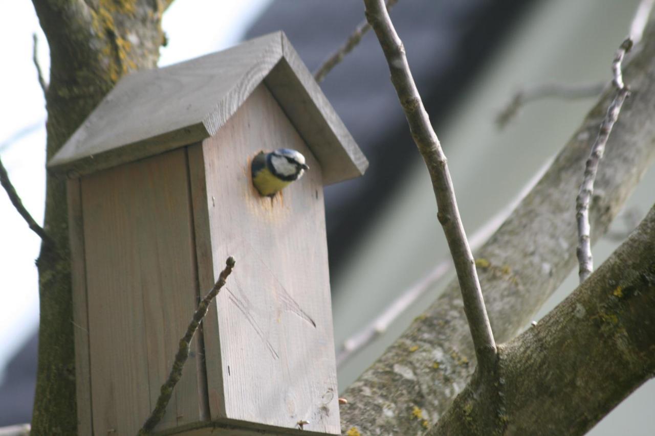 B&B Arlesbrunnen Egloffstein Zewnętrze zdjęcie