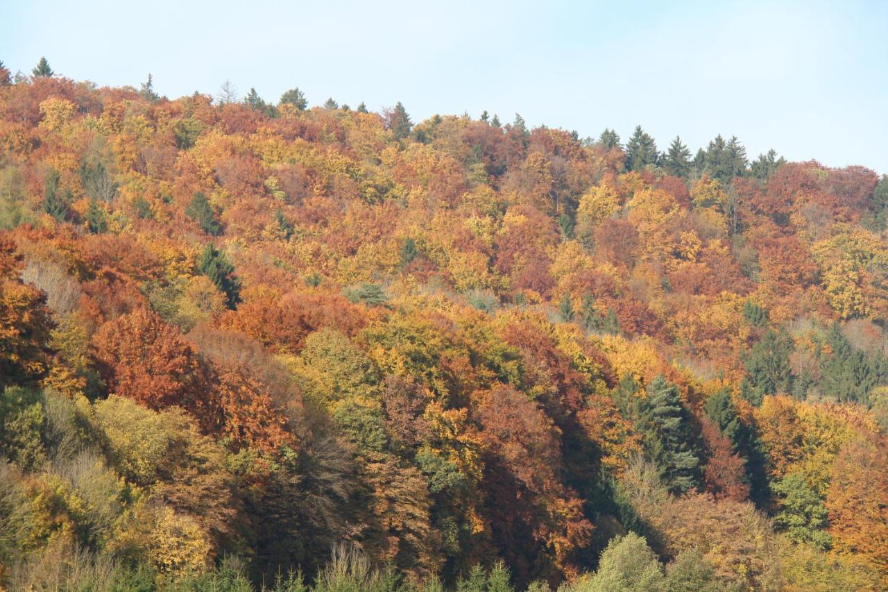 B&B Arlesbrunnen Egloffstein Zewnętrze zdjęcie