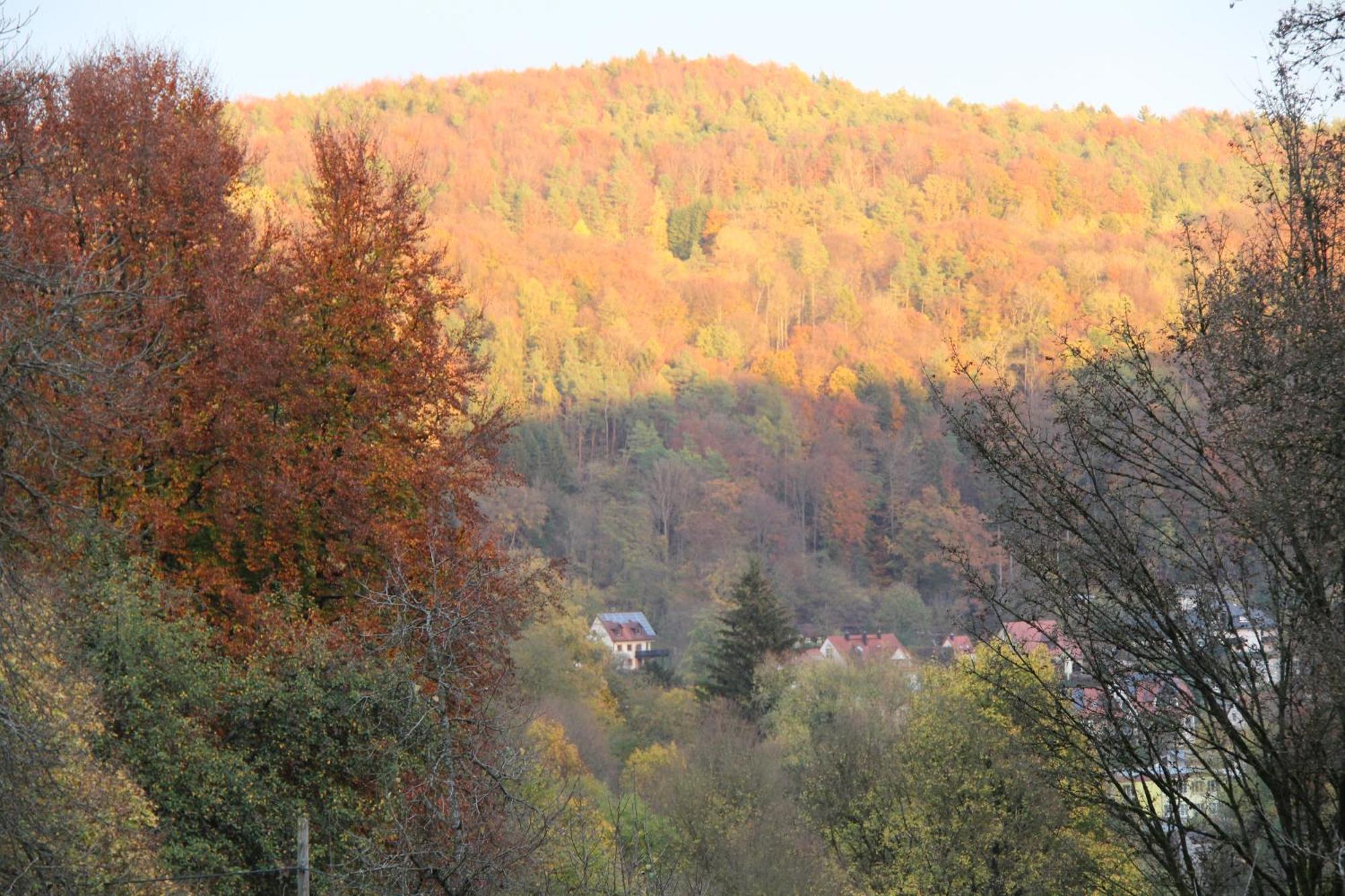 B&B Arlesbrunnen Egloffstein Zewnętrze zdjęcie